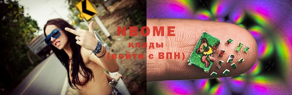 индика Горно-Алтайск
