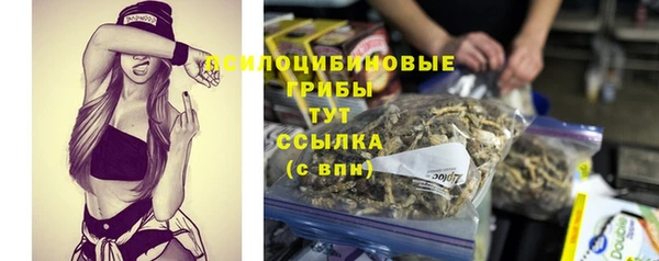 бутират Гусь-Хрустальный