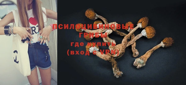 бутират Гусь-Хрустальный