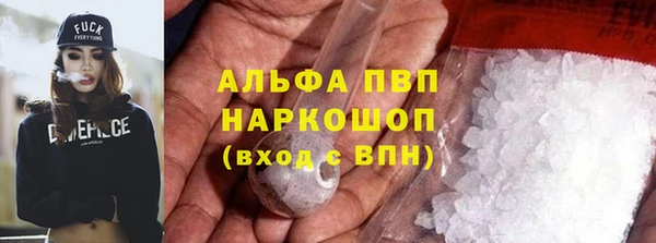 индика Горно-Алтайск