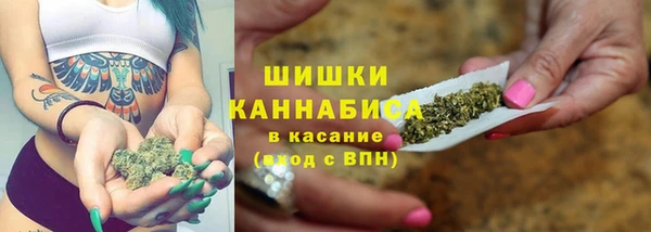 бутират Гусь-Хрустальный