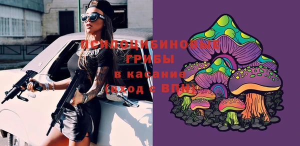 бутират Гусь-Хрустальный